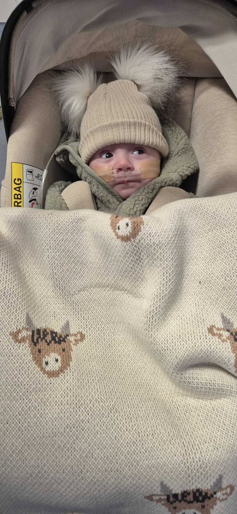 Other image for Little miracle Billy home at last